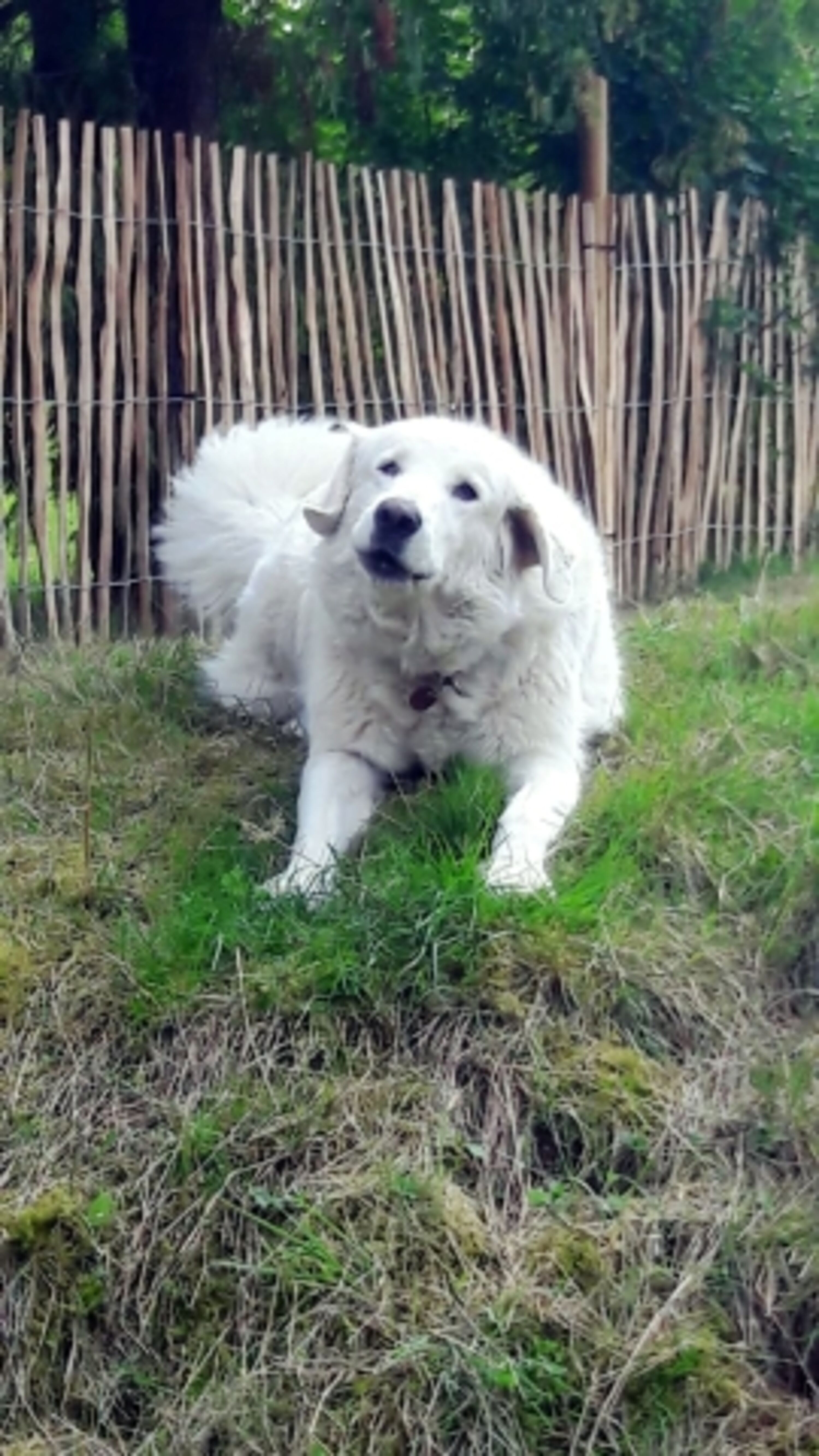 Bild 22