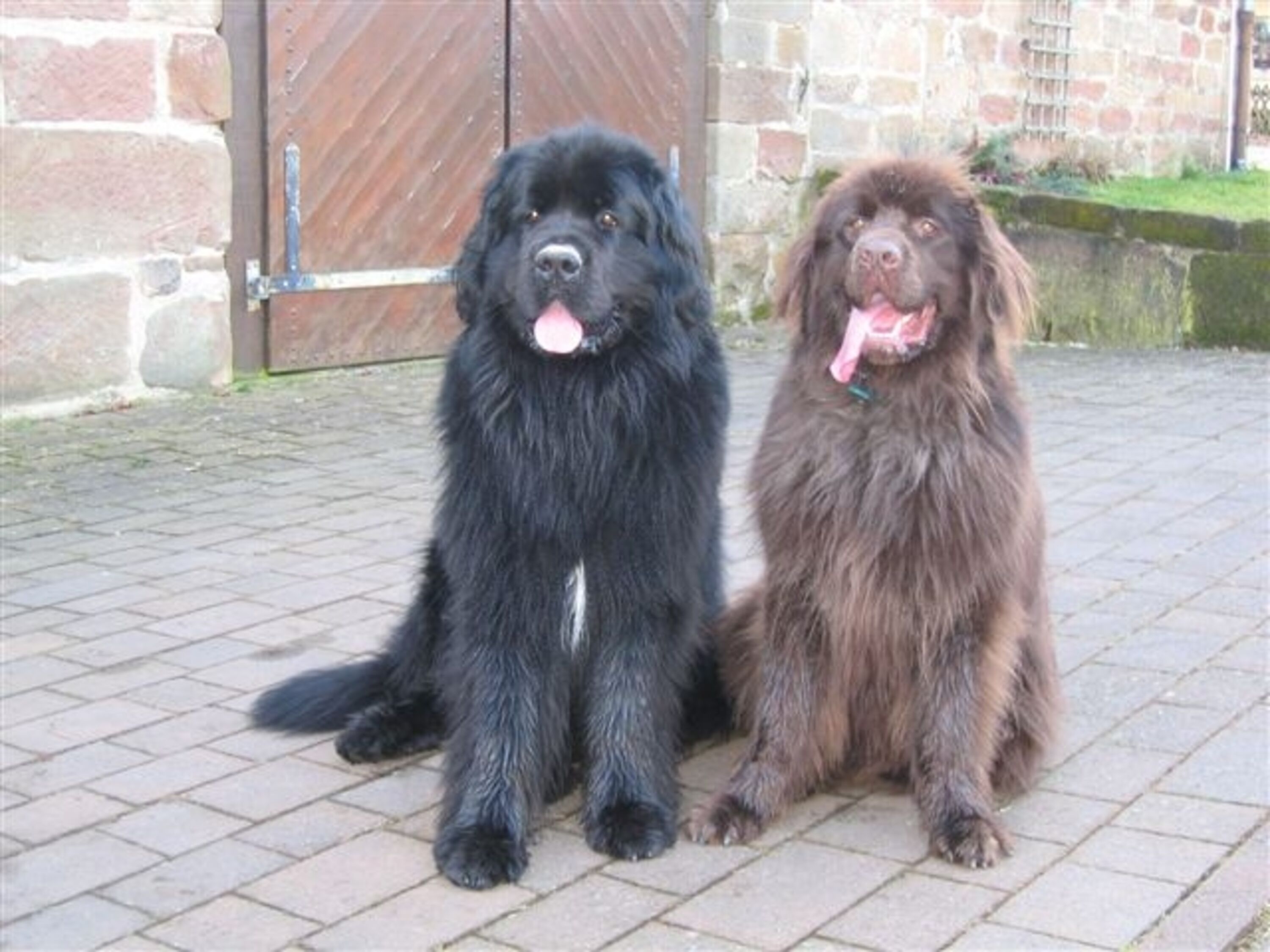 Bild 24