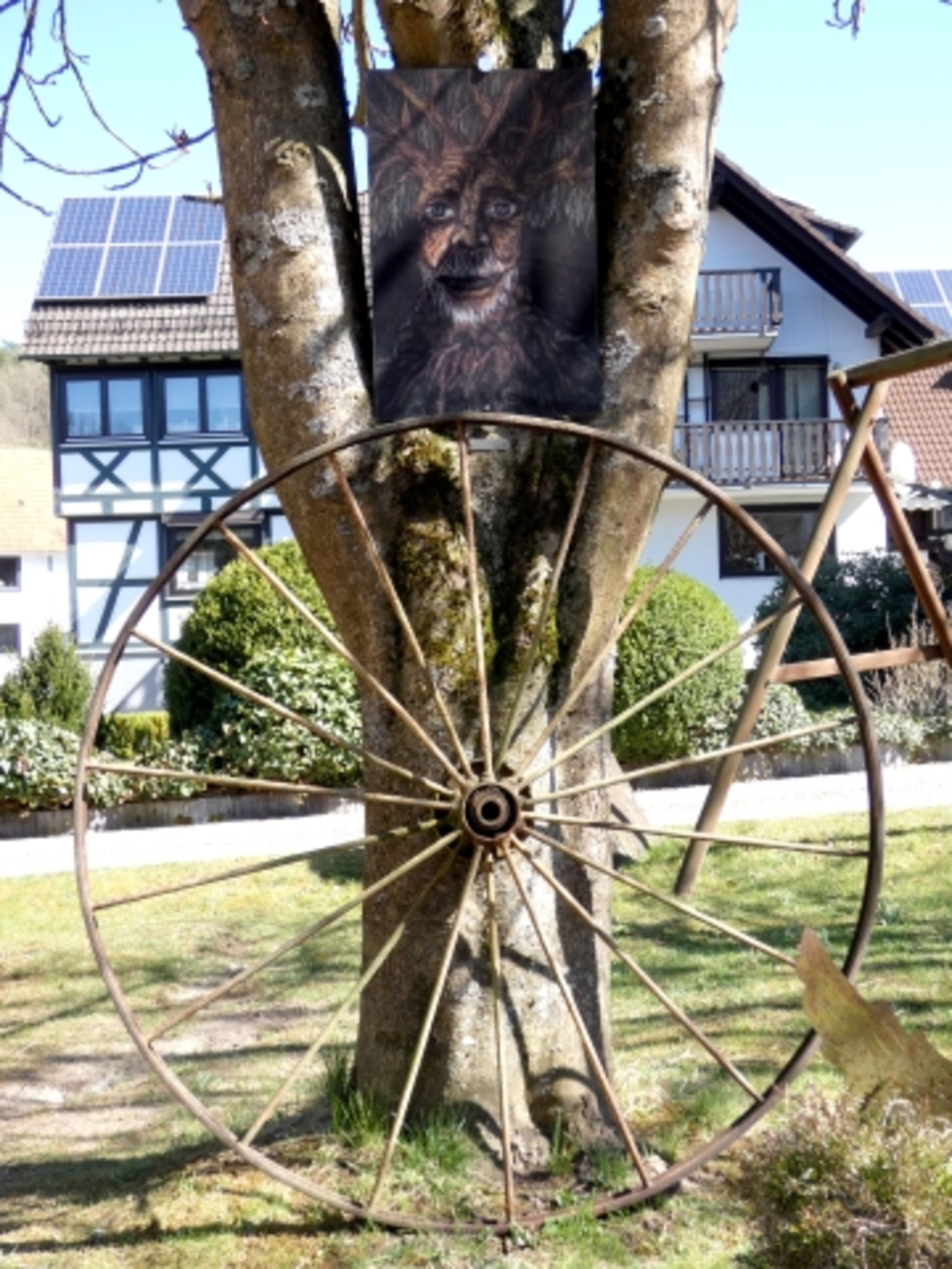 Bild 17