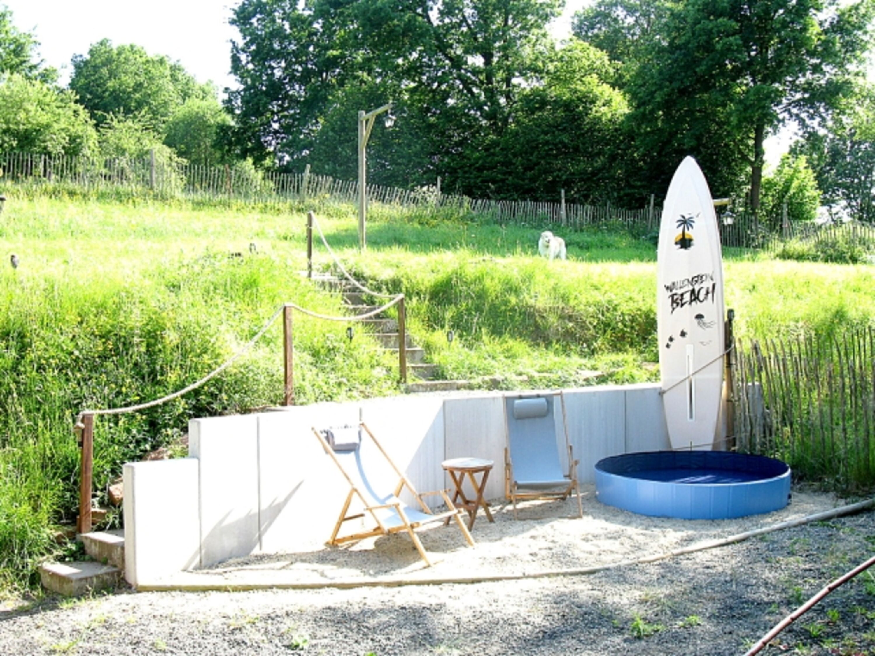Bild 19