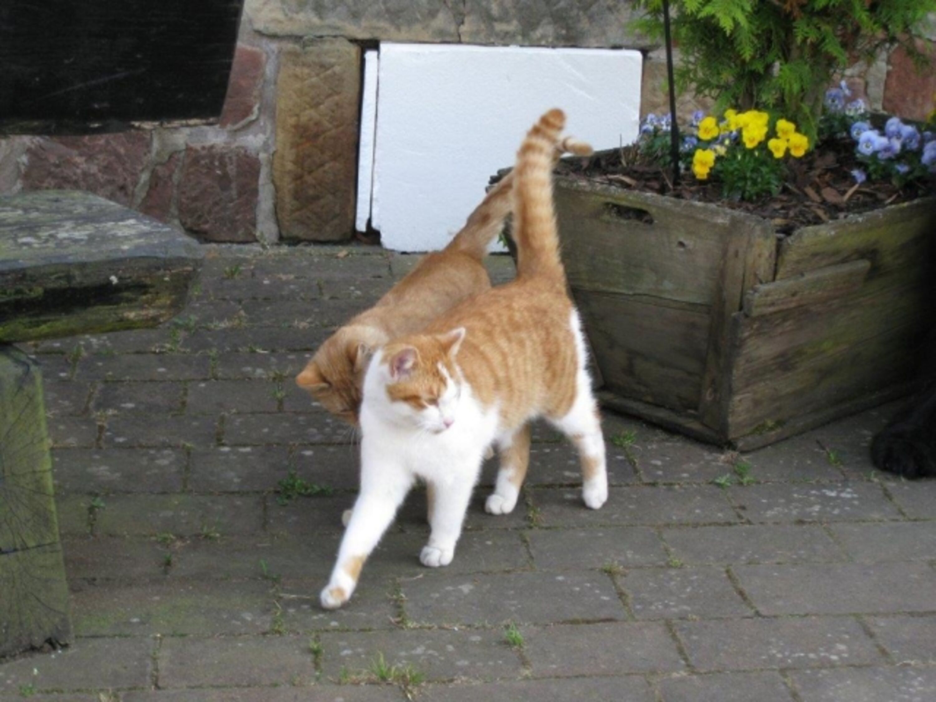Bild 25