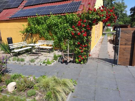 Eingang Hundeoase mit Rosenbogen