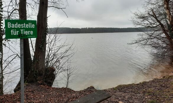 Hundebadestelle Schwarzer See