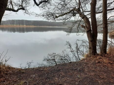 Hundebadestelle Peetschsee