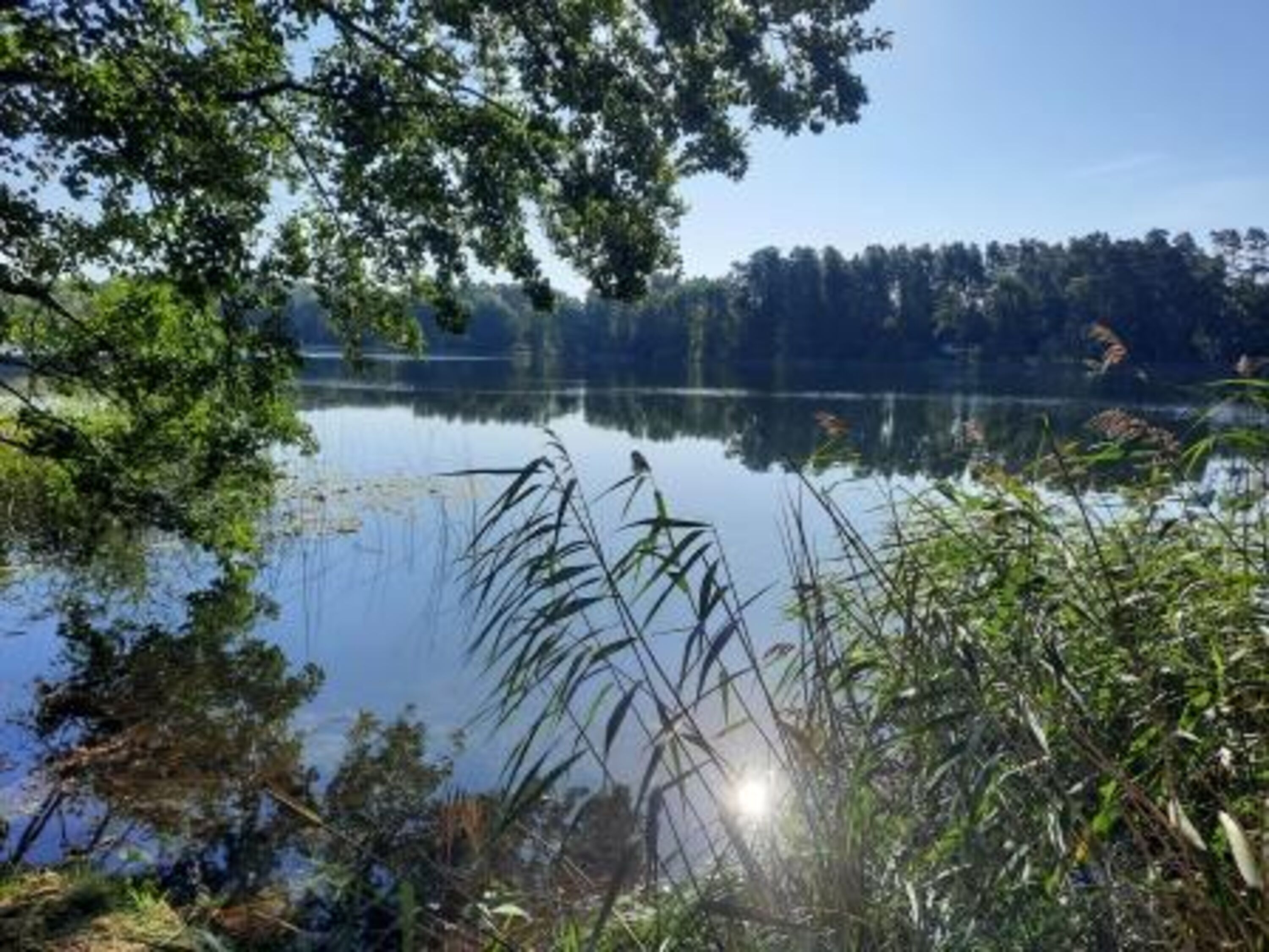 Rochowsee mit Badestelle