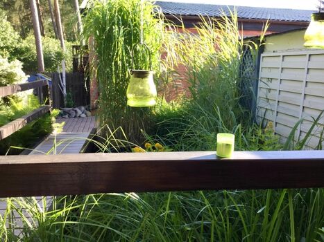 Blick von der Terrasse auf den Teich