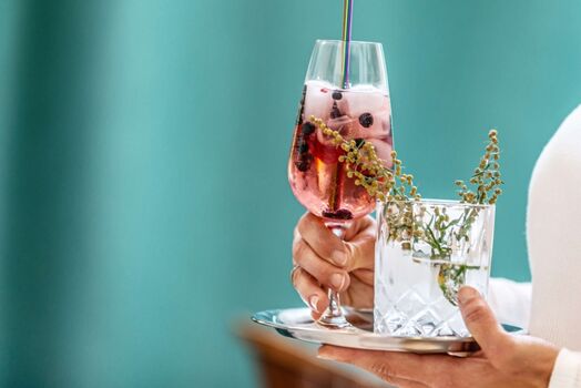 Aperitif im Edlgütl