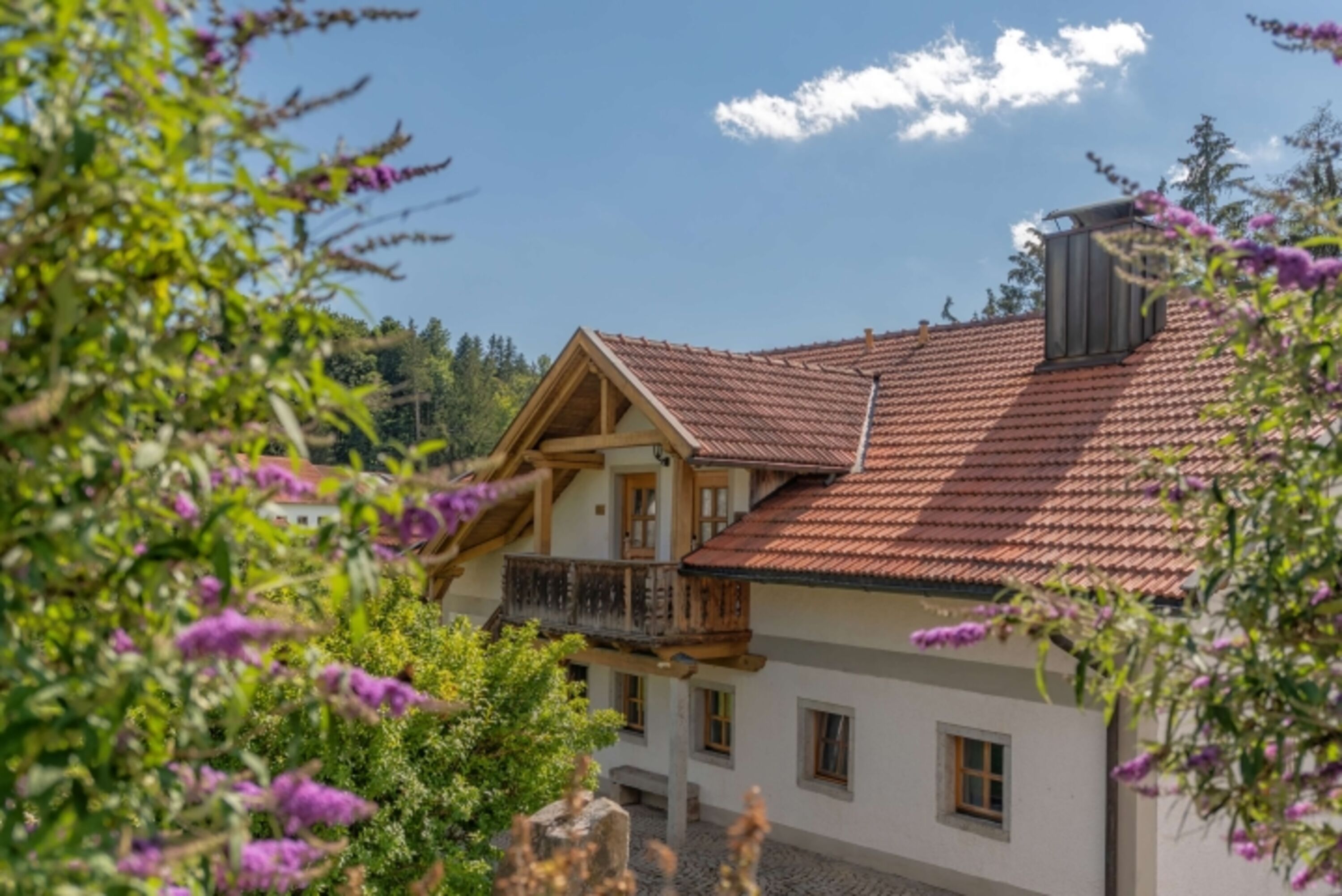 Sommer im Edlgütl