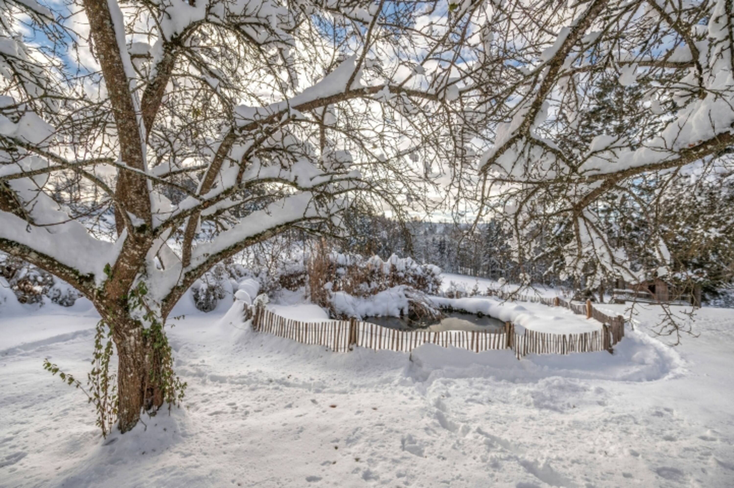 Garten im Winter