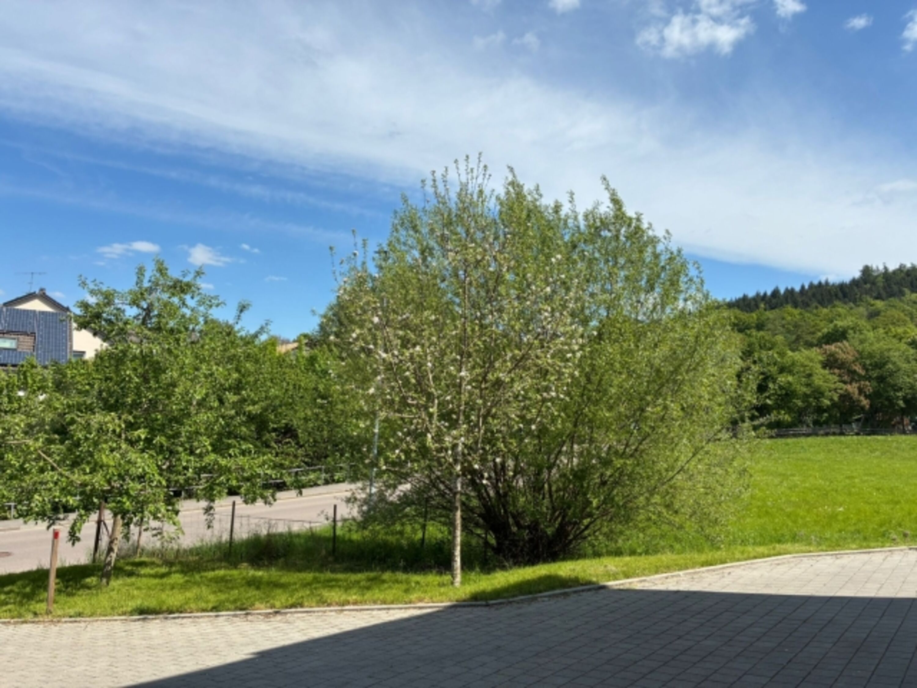 Außenbereich 