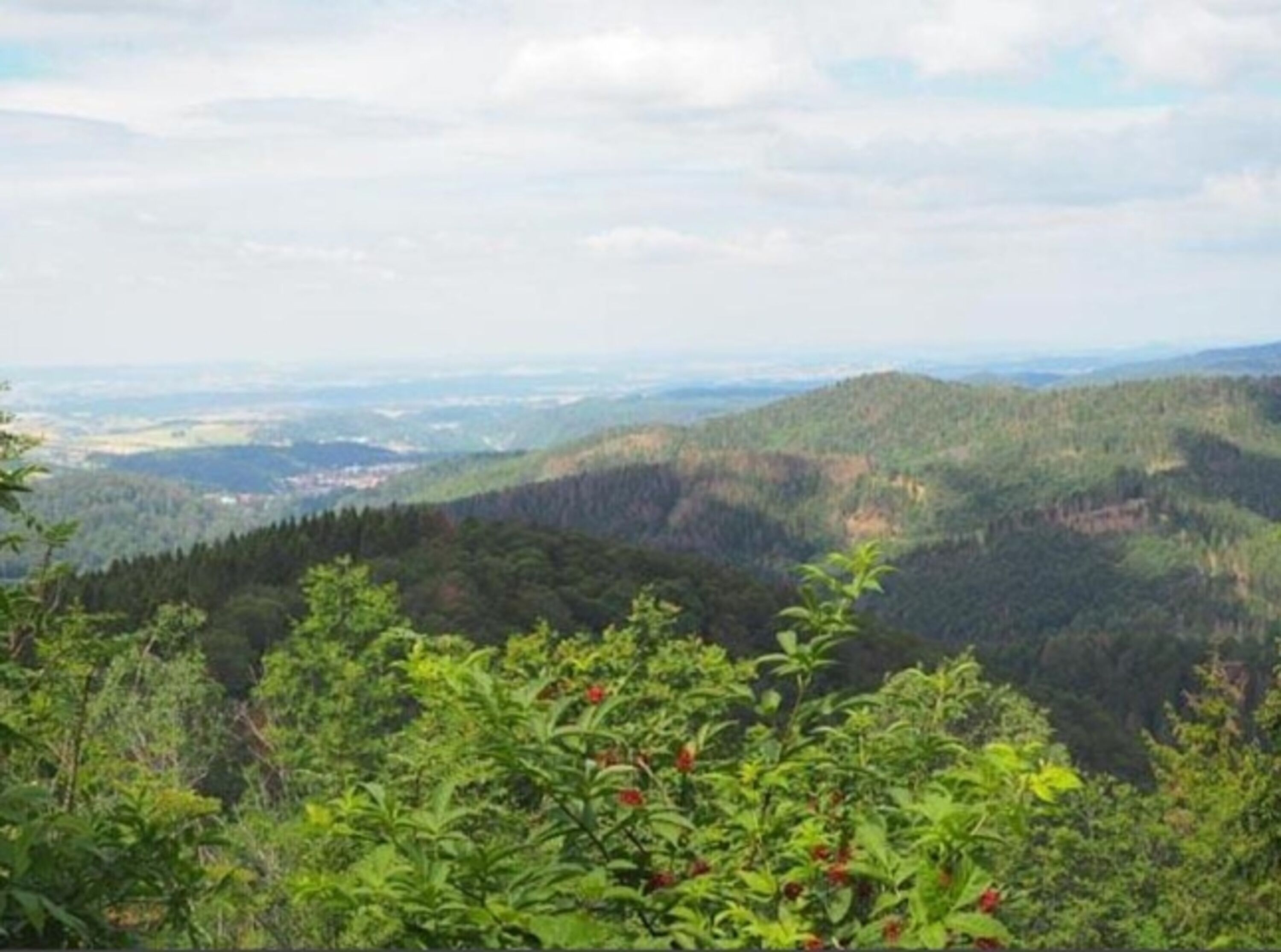 Ravensberg