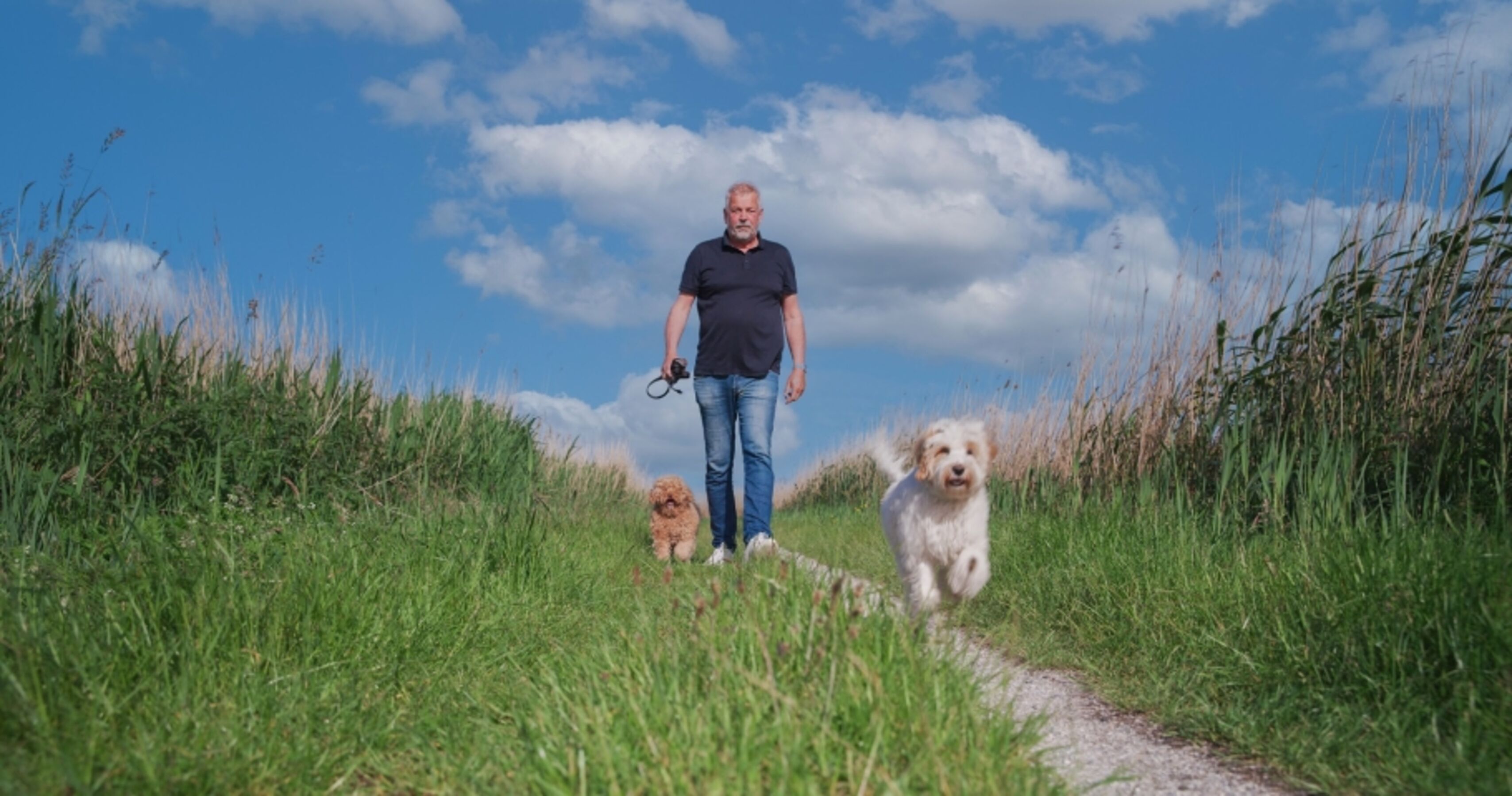 Spazieren mit Hunde