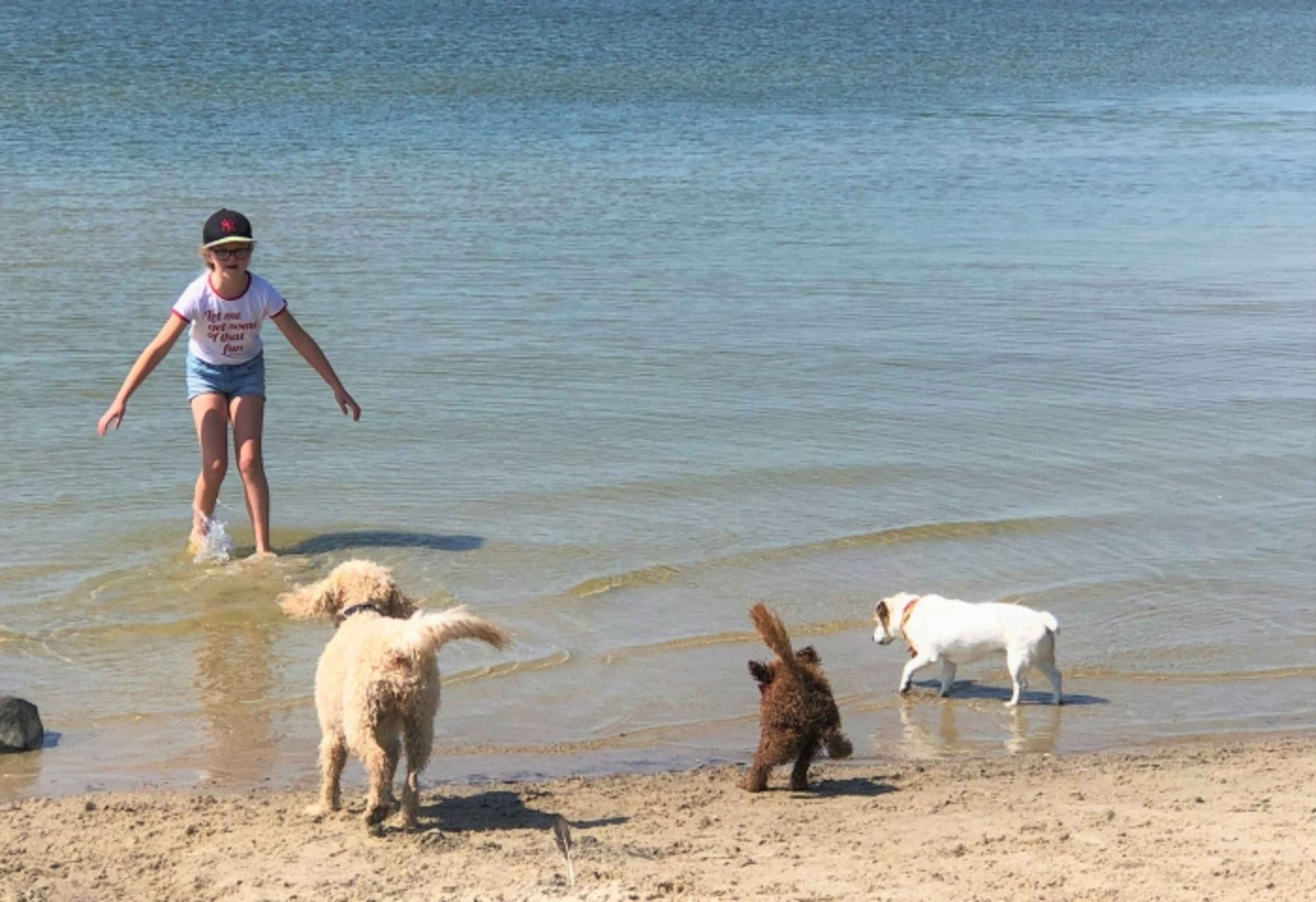 Hundebadestelle am Strand