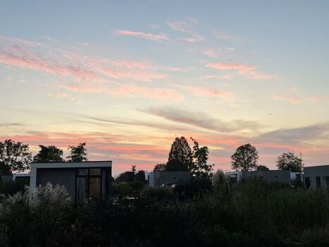 Abendstimmung im Park