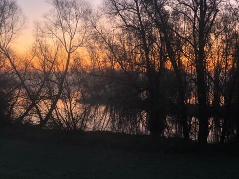Morgenstimmung an der IJssel