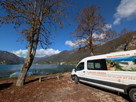 Flughund Reisen