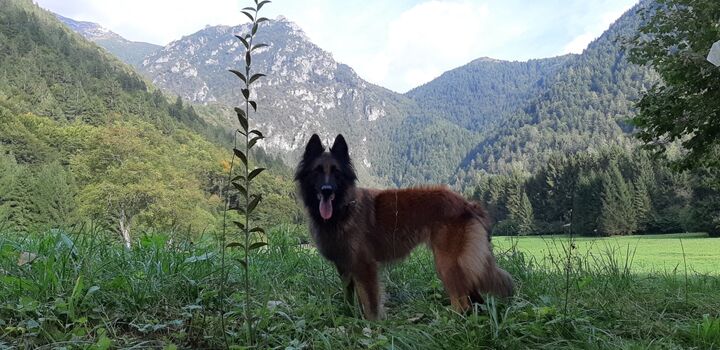 Umgebung Wandergebiet