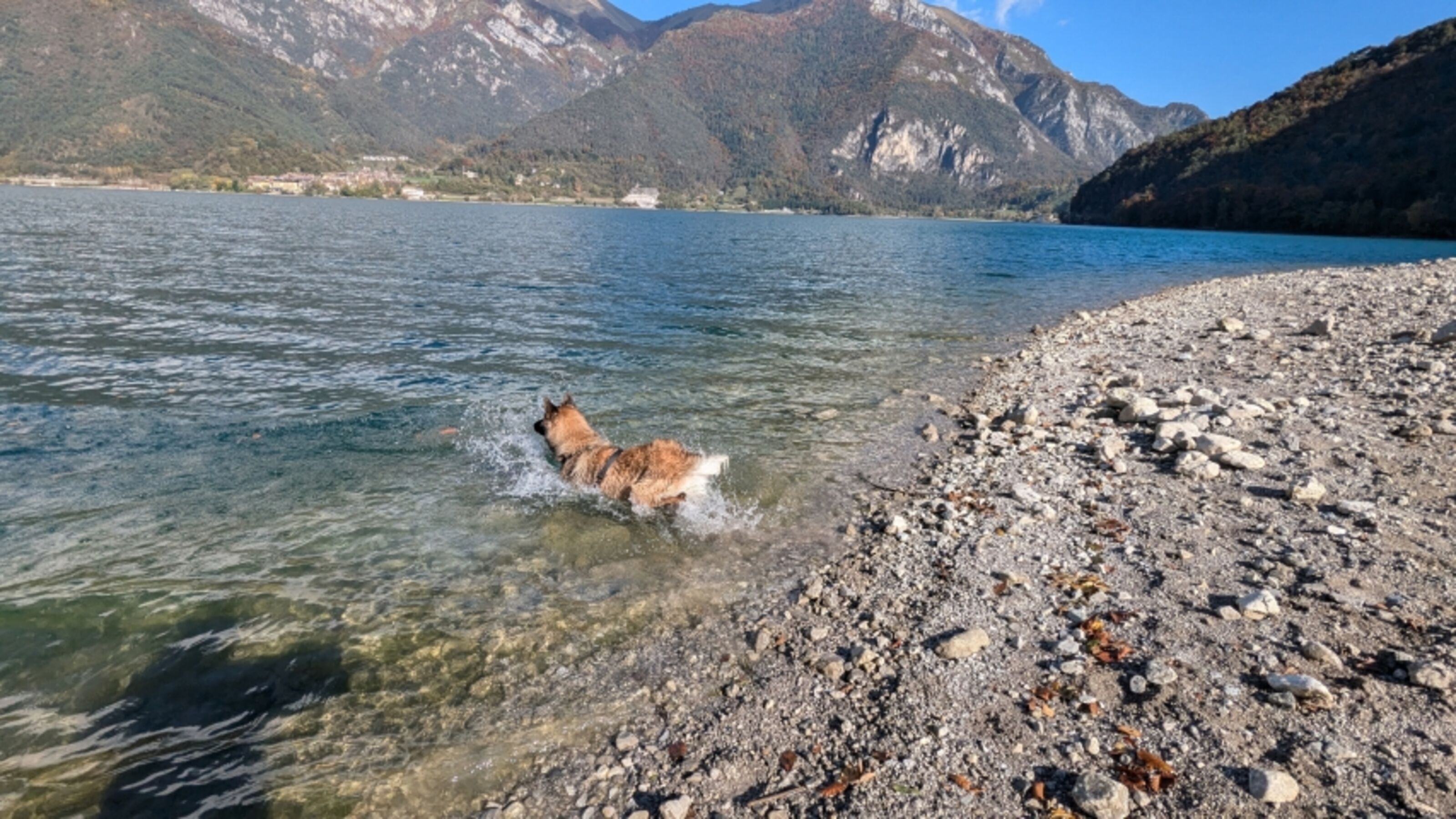 Hundebadestrand