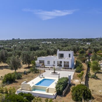 vollumzäunt inmitten der Olivenhaine