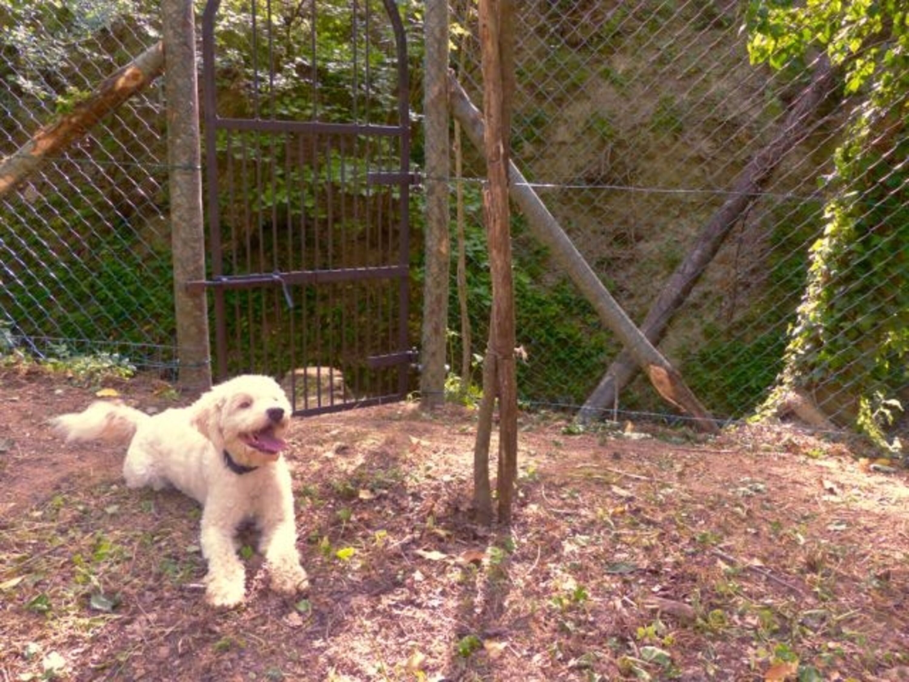 Bild 22