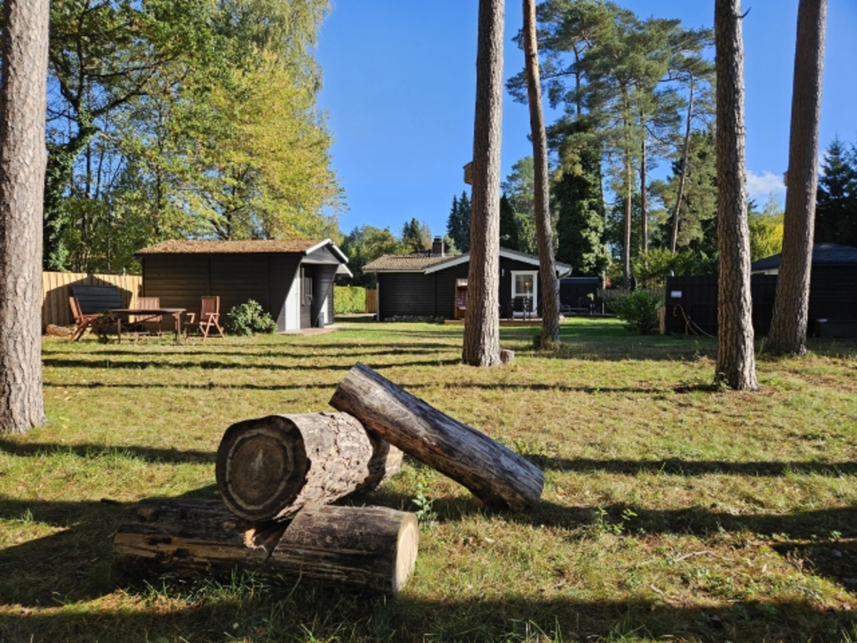 Waldteil zum toben