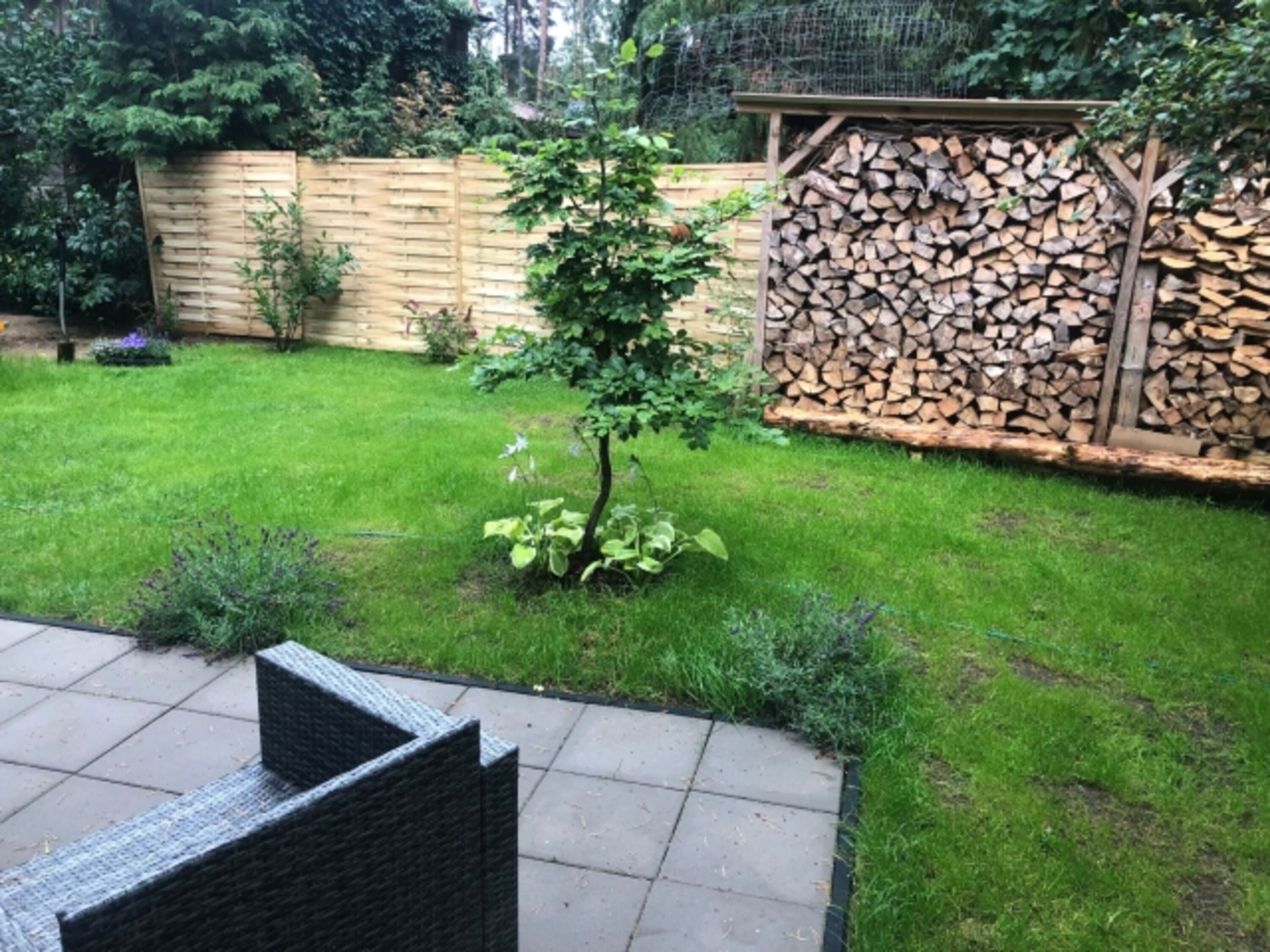 Garten