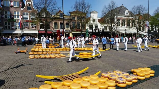 Käsemarkt in Alkmaar