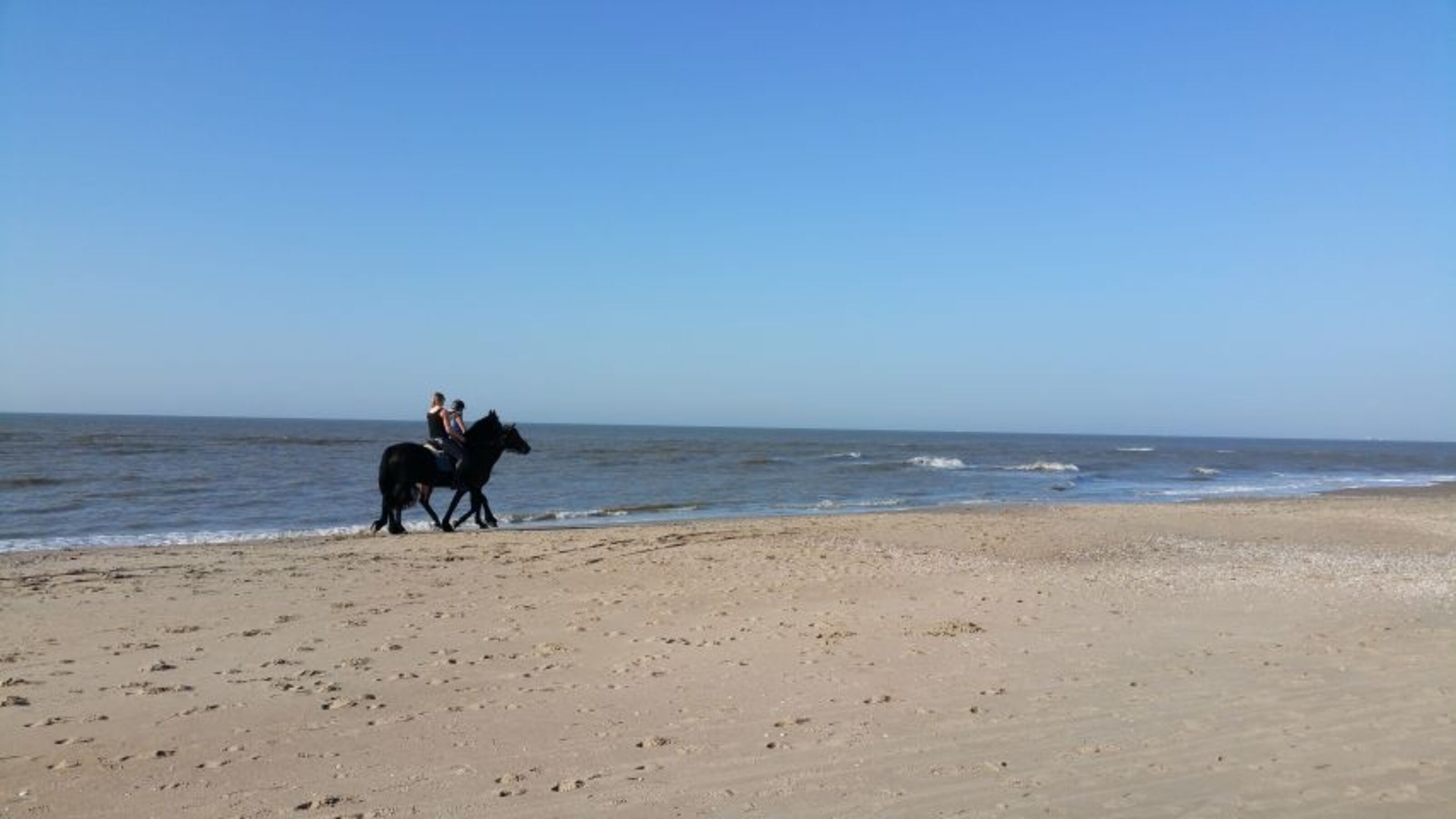 Bild 24