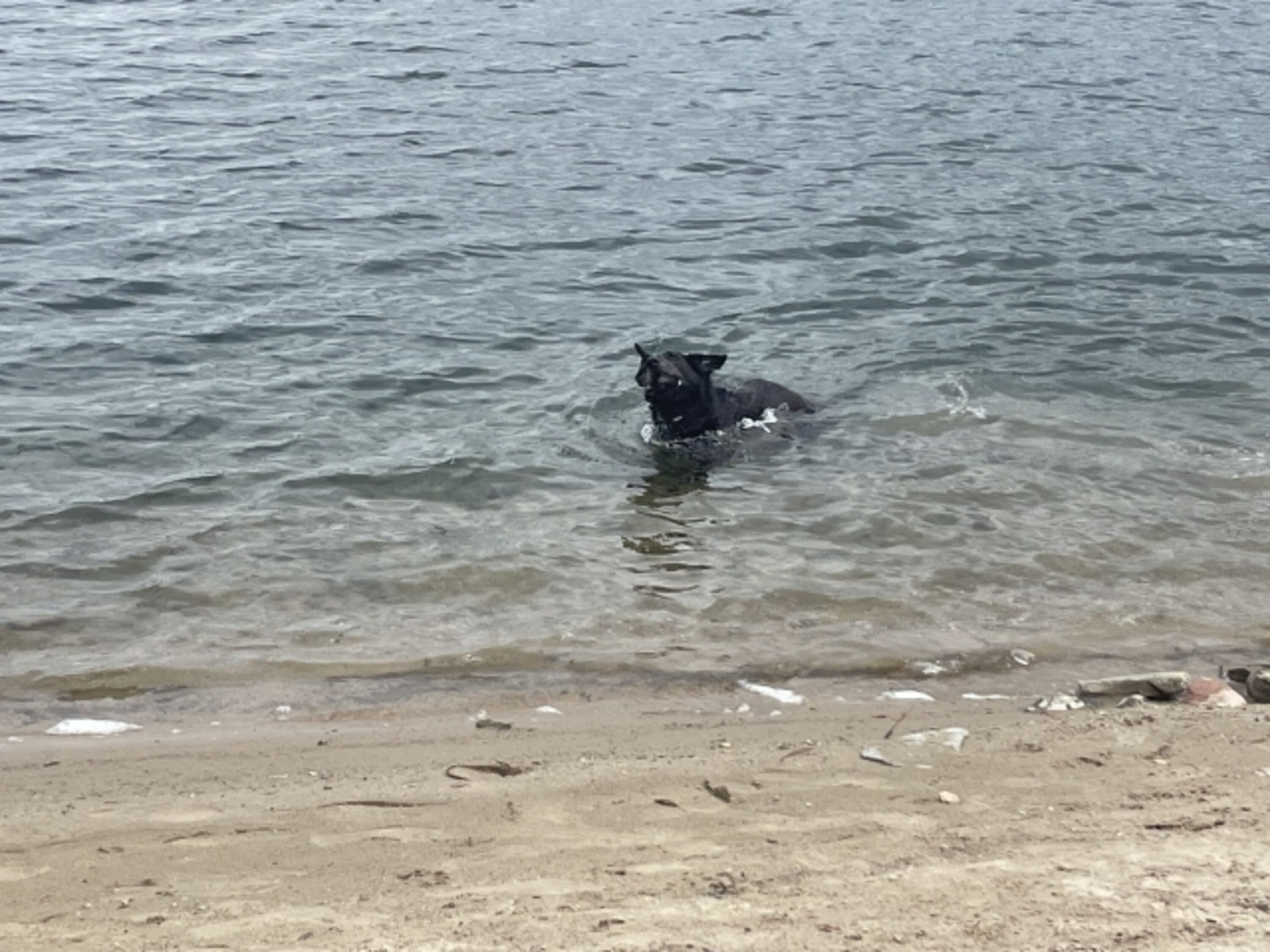 Der See