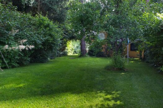 800qm Waldgrundstück