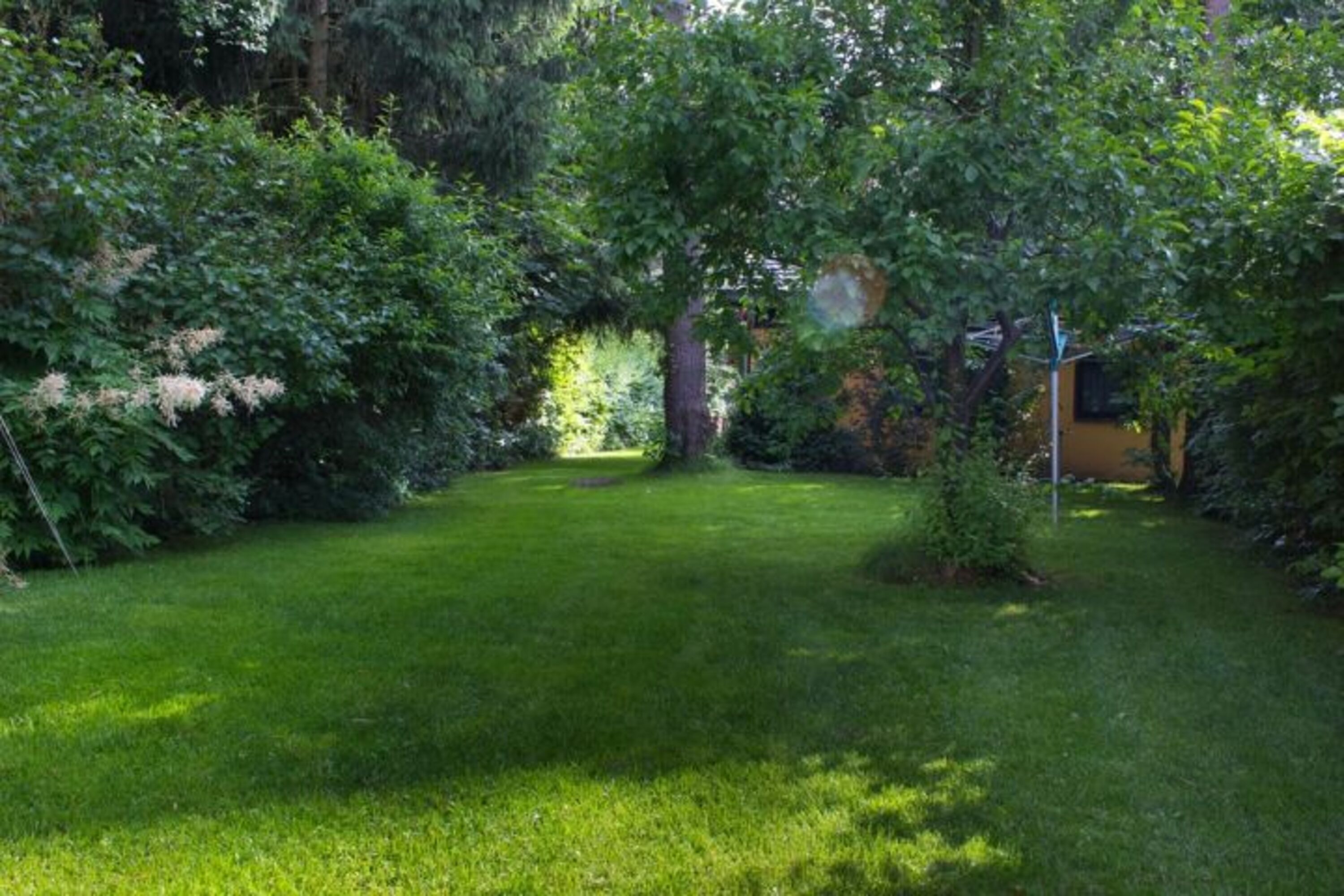 800qm Waldgrundstück