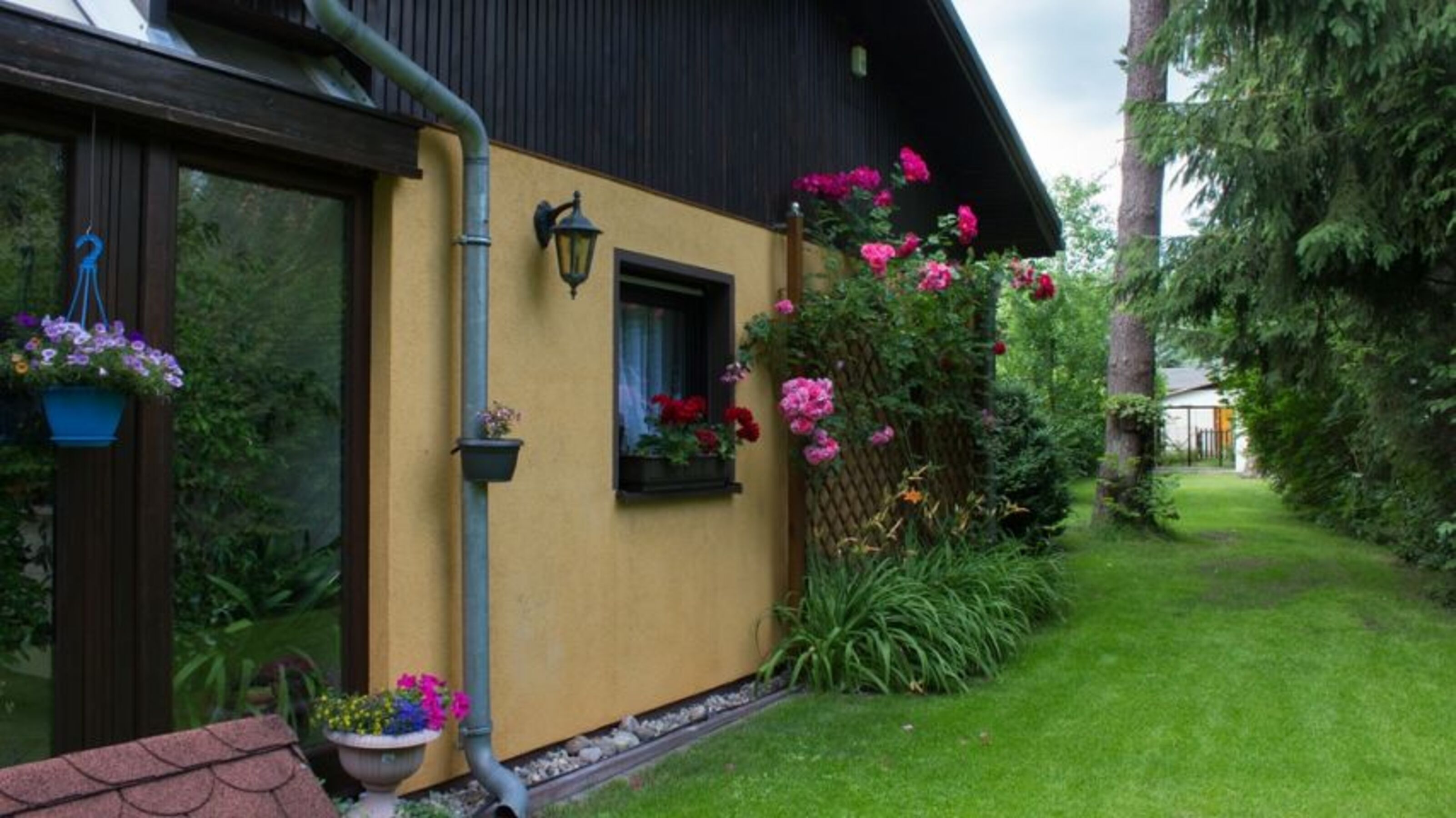 das Ferienhaus