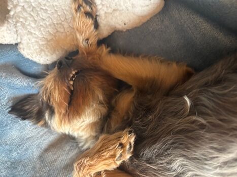 Hach, ist das schön hier!