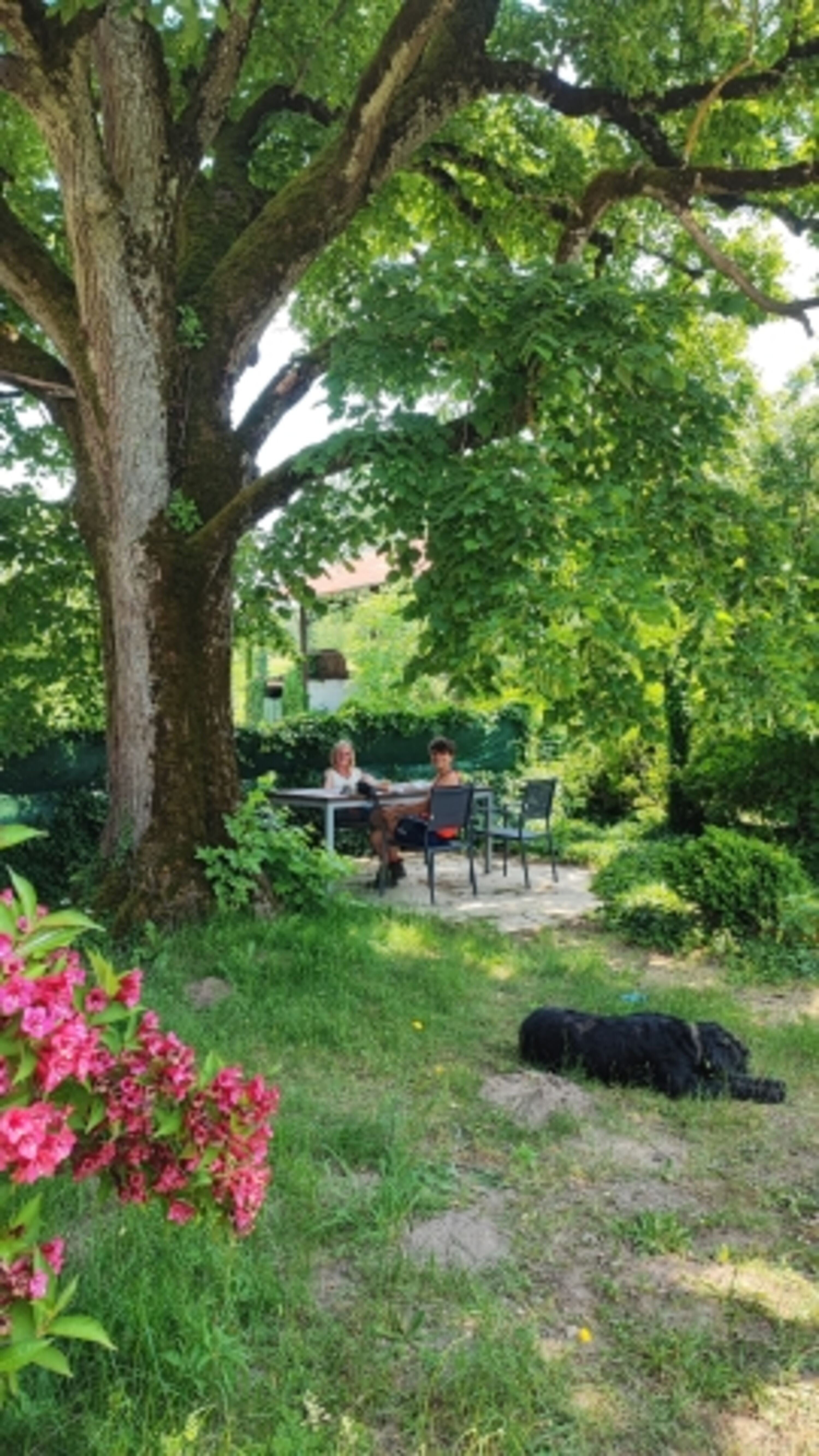 privater Garten