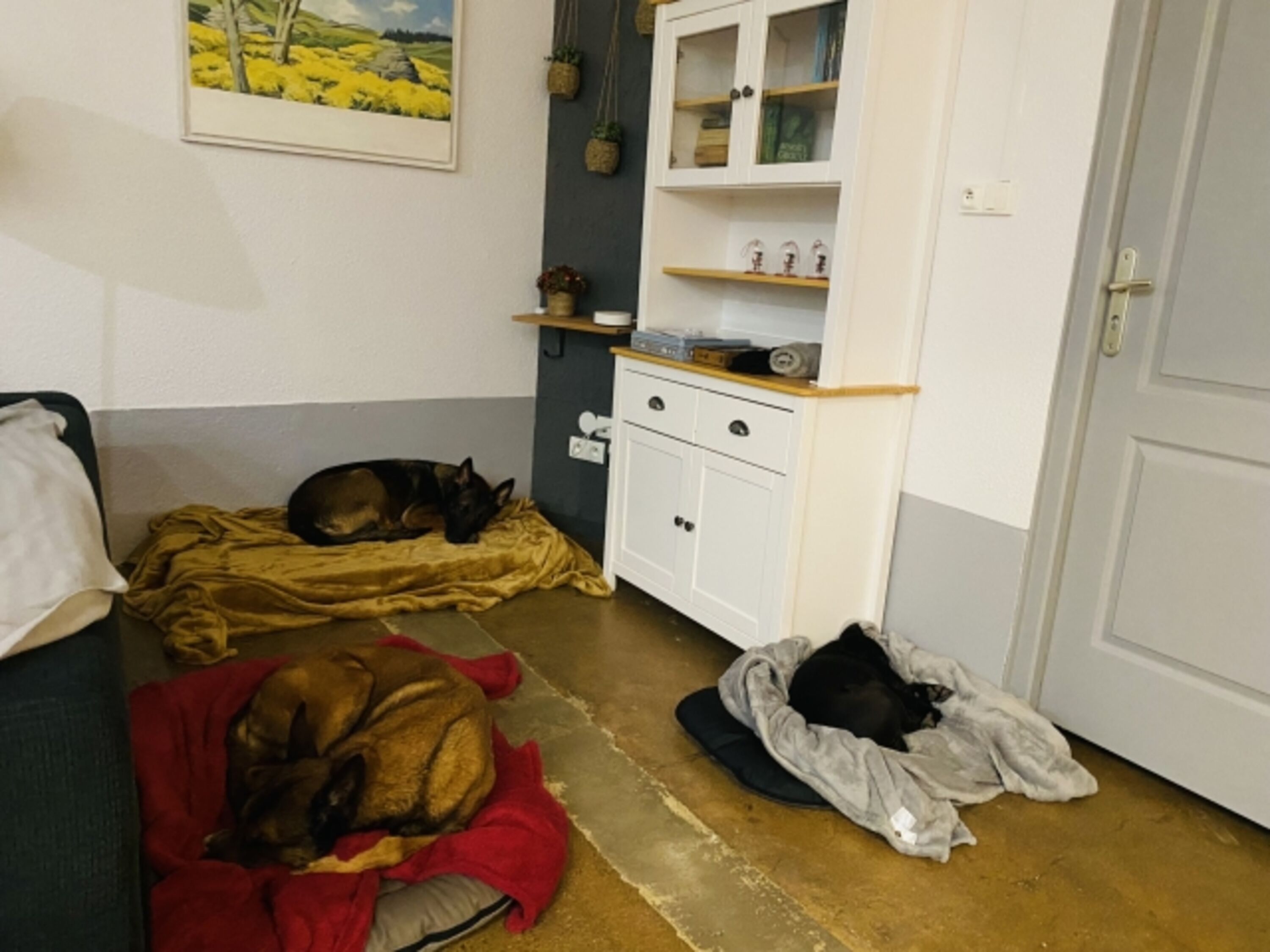 Bild 8