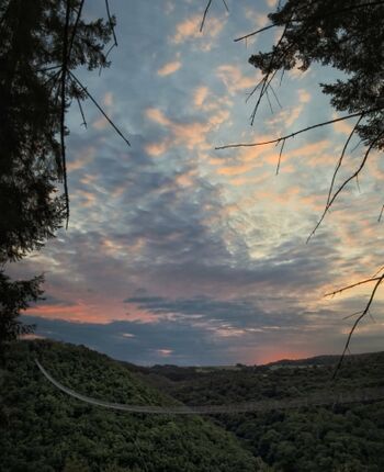 Hängeseilbrücke 