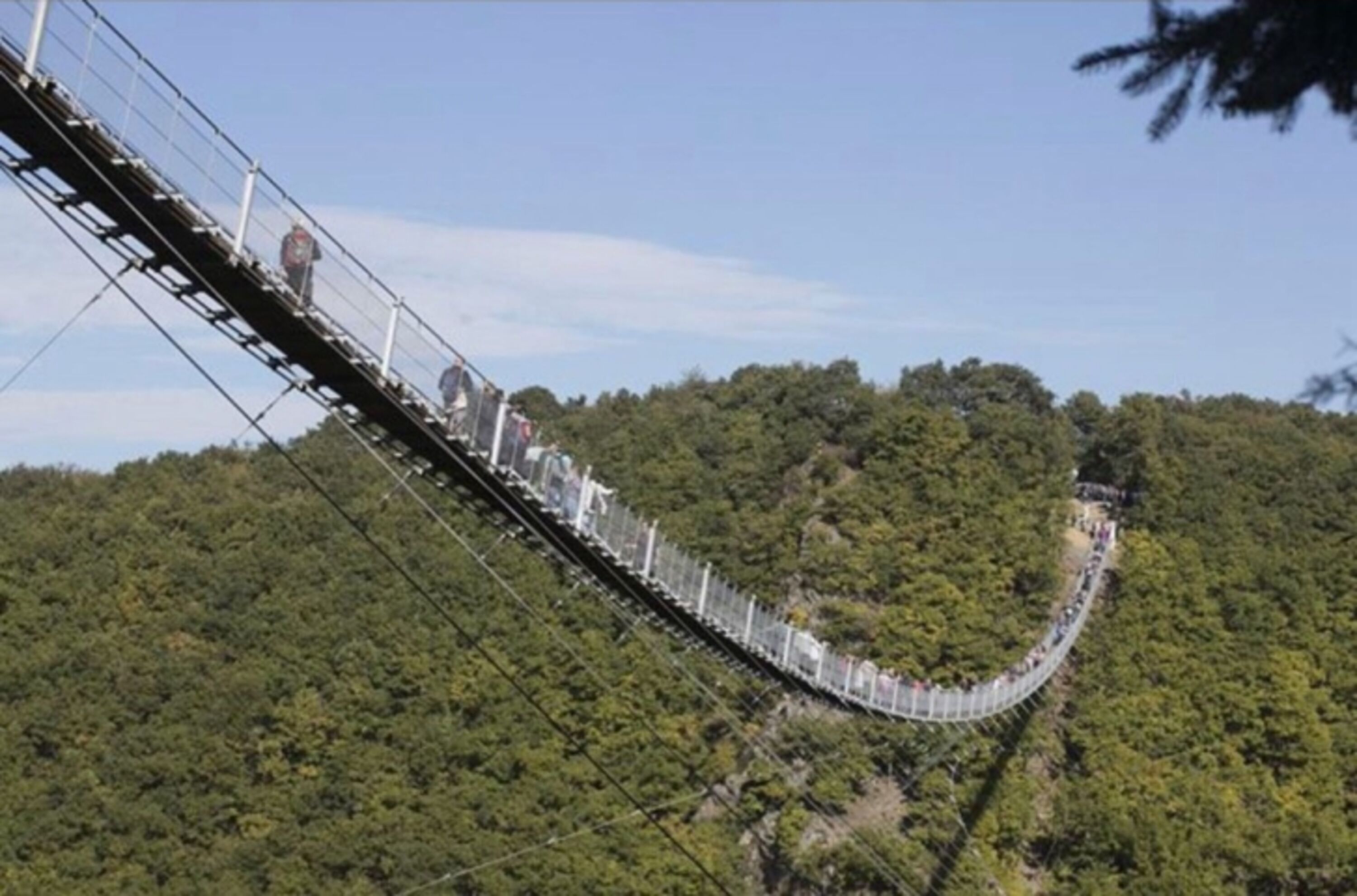 Hängeseilbrücke