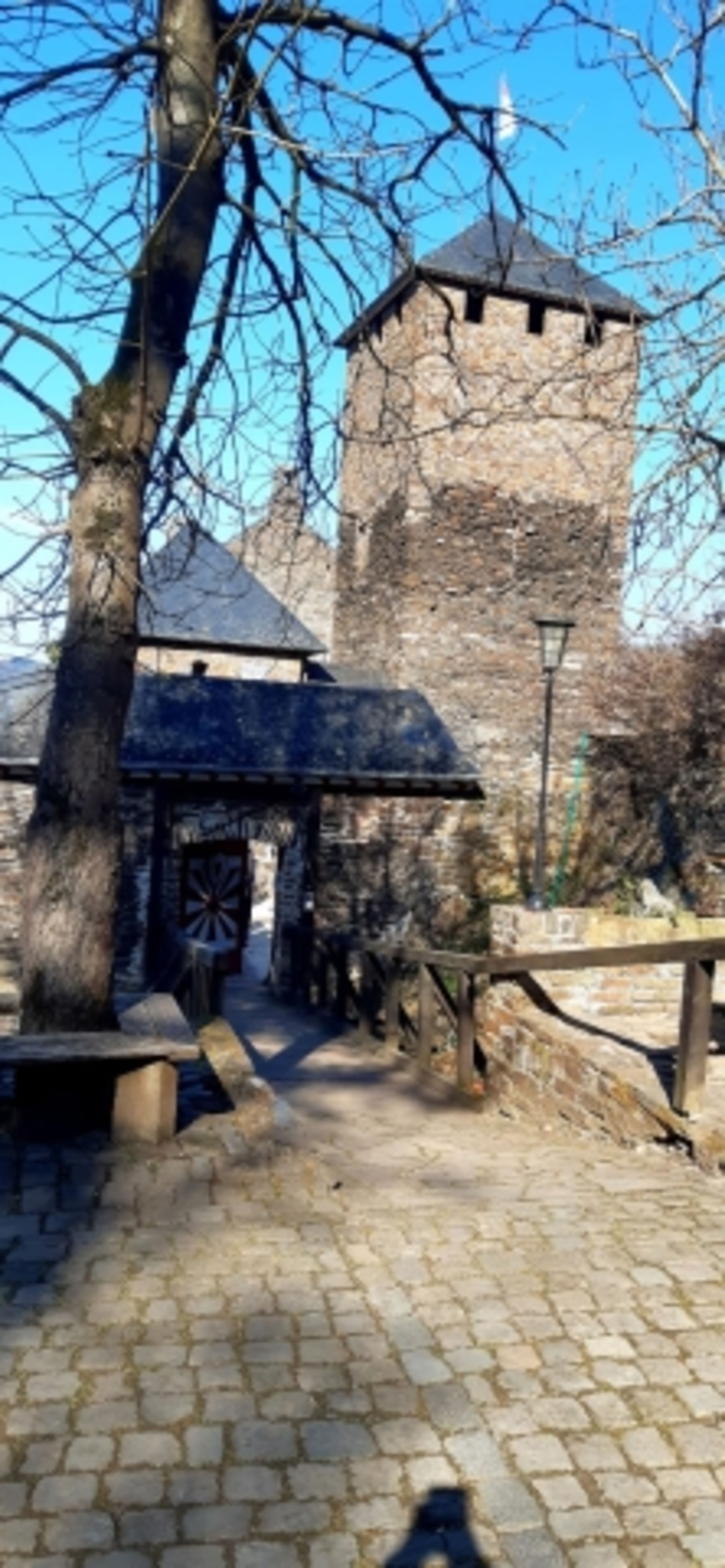 Burg Treis