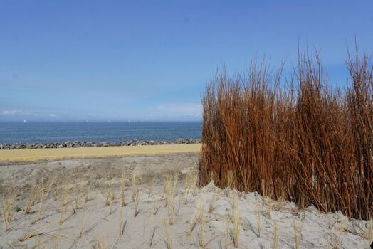 Blick aus dem sandigen Garten auf's IJsselmeer