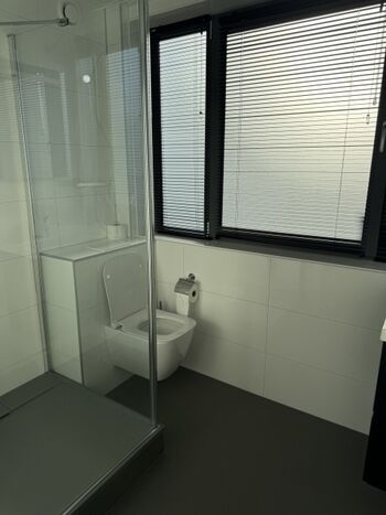 im OG sind Bad und WC in einem Raum kombiniert