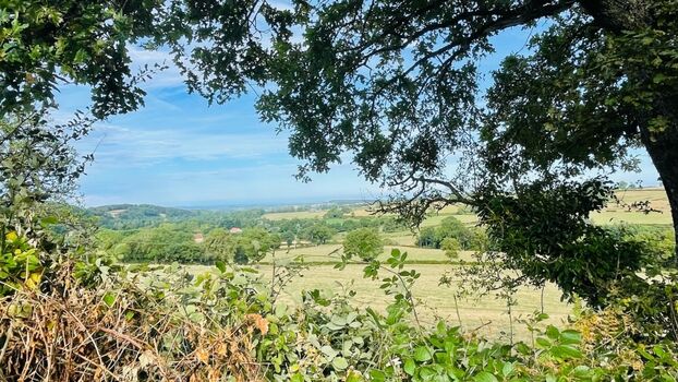 Blick vom Spazierweg auf dem Gelände