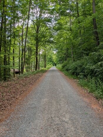 Der Wanderweg nur wenige Meter vom Haus entfernt