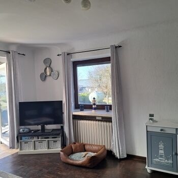 Hundekorb und Flachbildfernseher