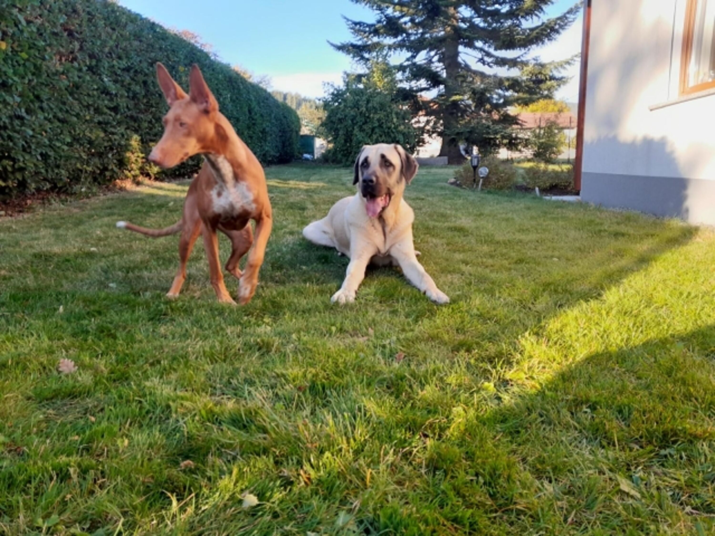 Bild 4