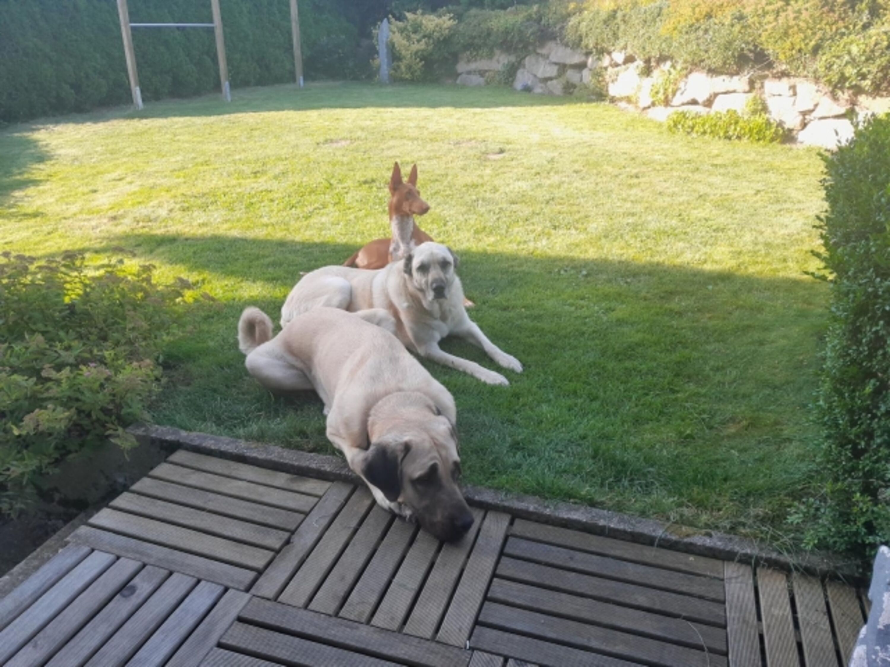 Bild 5
