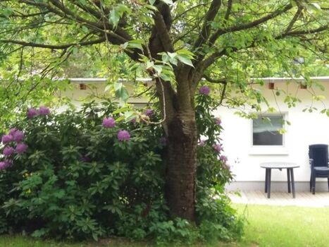 Waldseite / Eingangseite