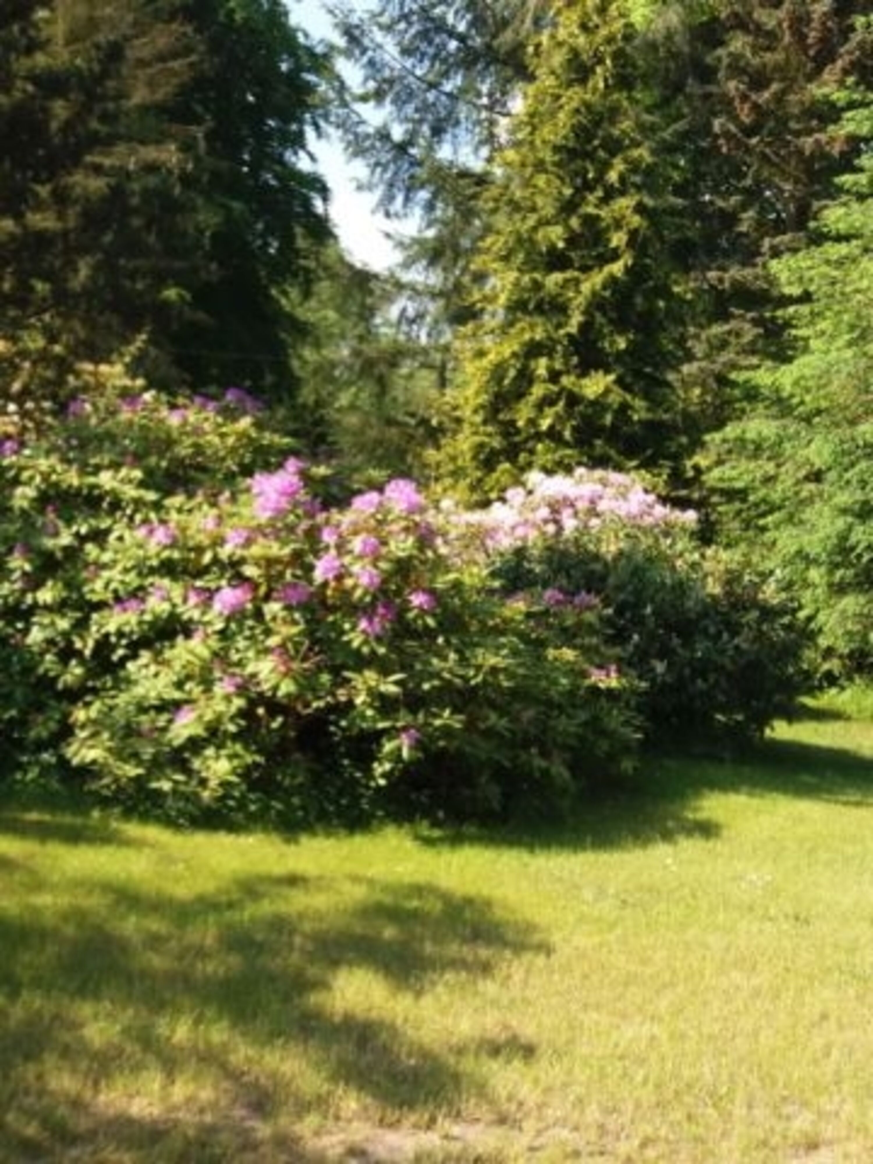 Garten Seeseite