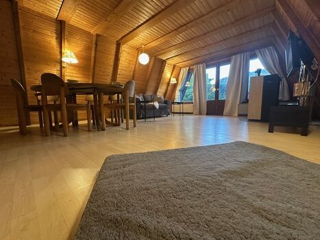 Der Blick aus dem Hundekörbchen