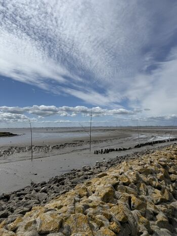 Wattenmeer