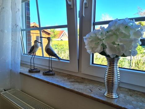 Ausblick ins Grüne auf wunderschöne Heckenrosen